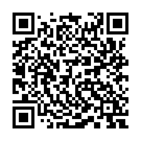 QR code for 311IPY