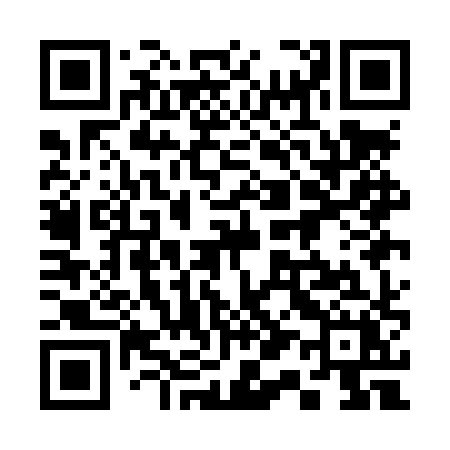 QR code for 311LXX