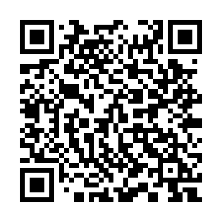 QR code for 311PVE