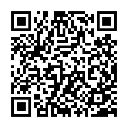 QR code for 311TPT