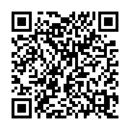 QR code for 311VPM