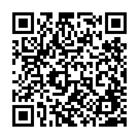 QR code for 313DOF