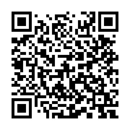 QR code for 313DSU