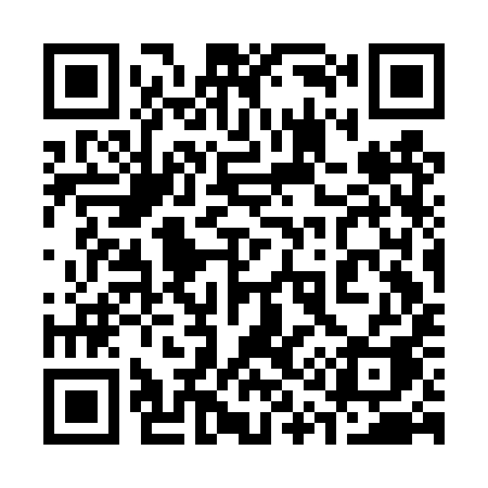 QR code for 313DYA