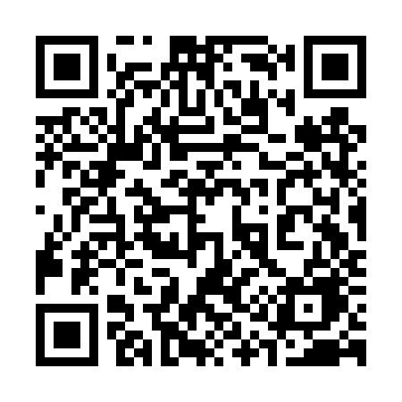 QR code for 313DZE