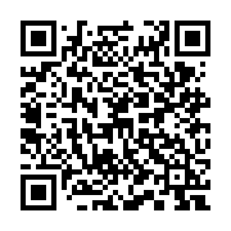 QR code for 313FJJ