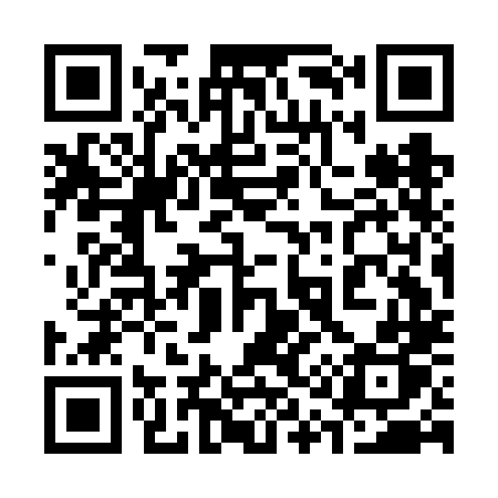 QR code for 313FLP