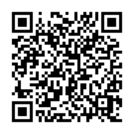 QR code for 313HIV