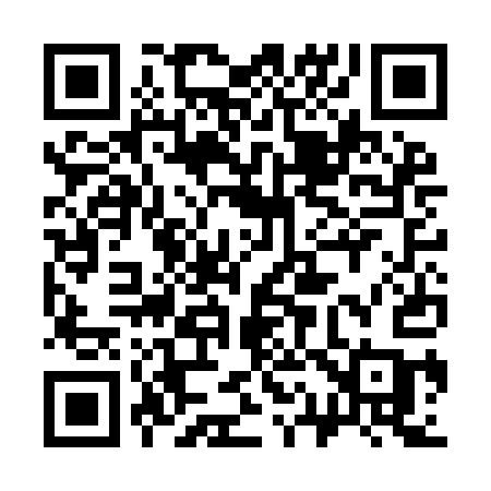 QR code for 313IAC