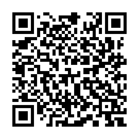 QR code for 313IHS
