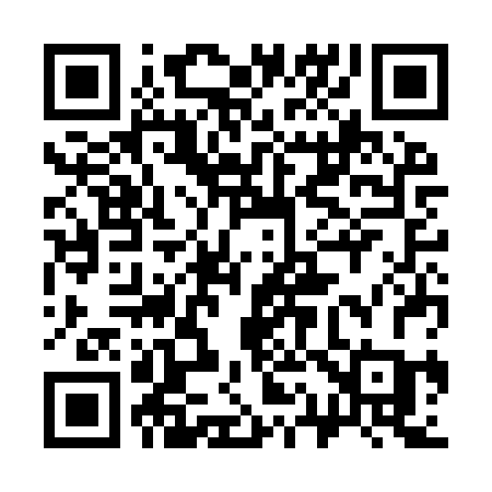 QR code for 313IRC