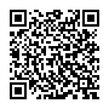 QR code for 313JFX