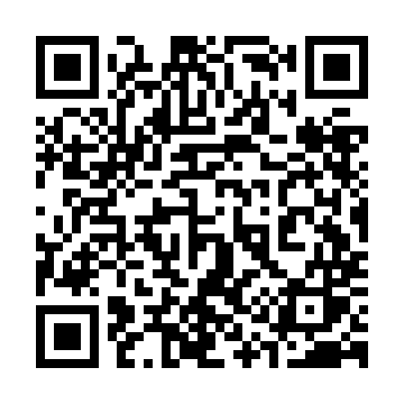 QR code for 313JMS