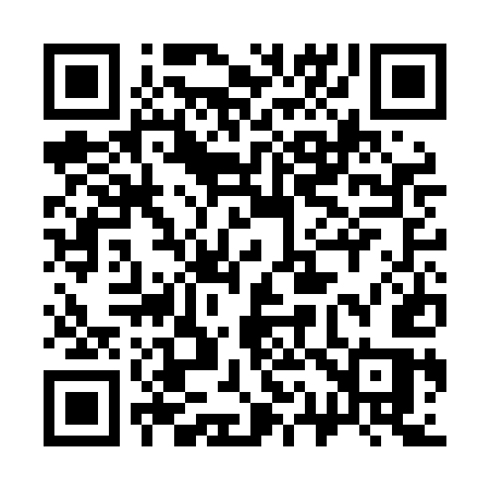 QR code for 313LES