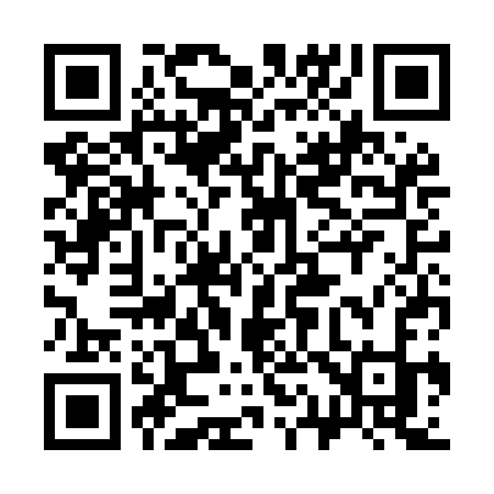 QR code for 313MCK