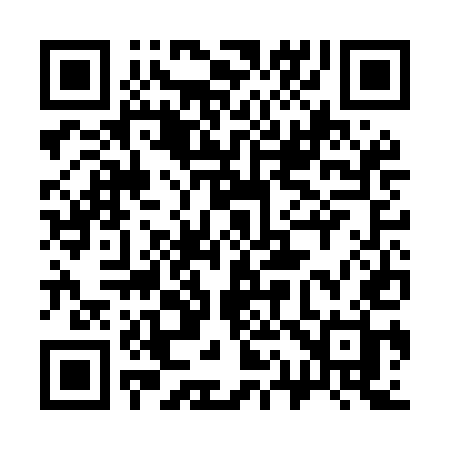 QR code for 313MEH
