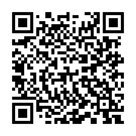 QR code for 313MGK