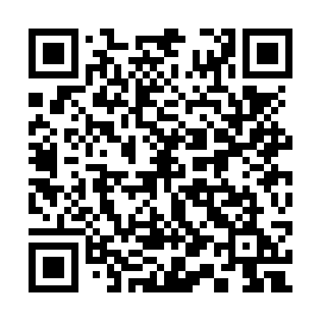 QR code for 313NSE