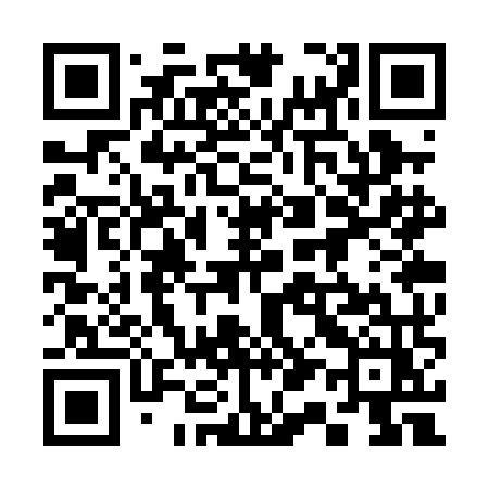 QR code for 313PMZ