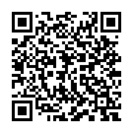 QR code for 313PWN