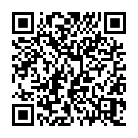 QR code for 313QLR