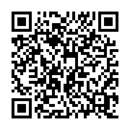 QR code for 313QTF
