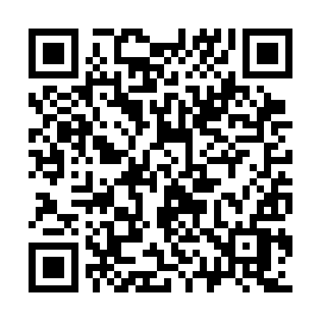 QR code for 313SIV