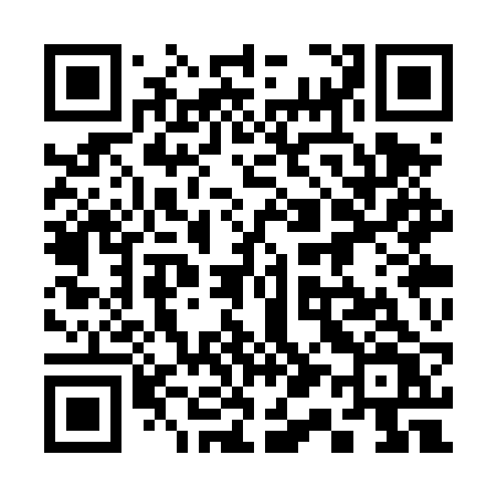 QR code for 313TRV