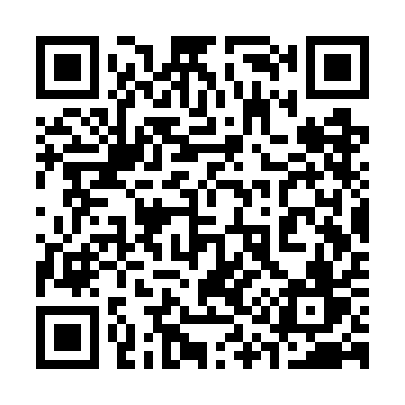 QR code for 313WAV