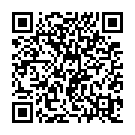 QR code for 313WDI