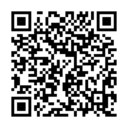 QR code for 313XLK