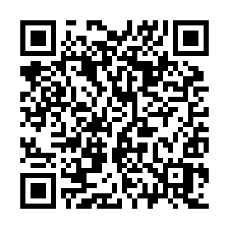 QR code for 313ZIW