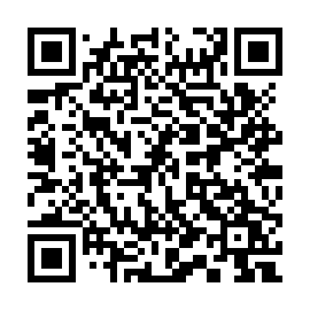 QR code for 313ZPW