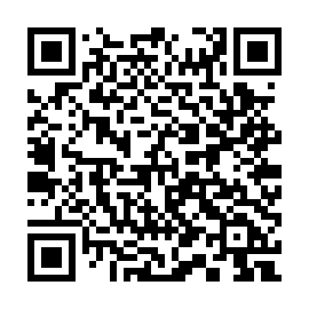 QR code for 317PTD