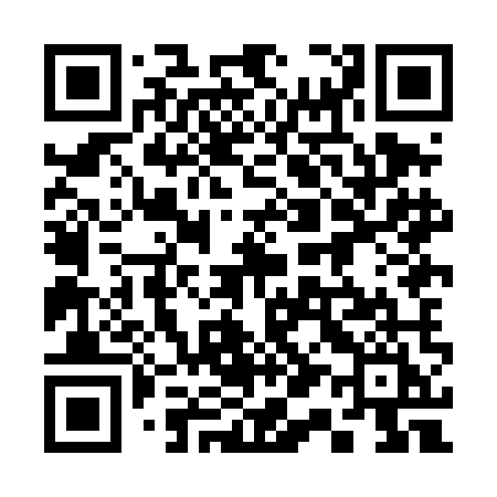 QR code for 318DMI