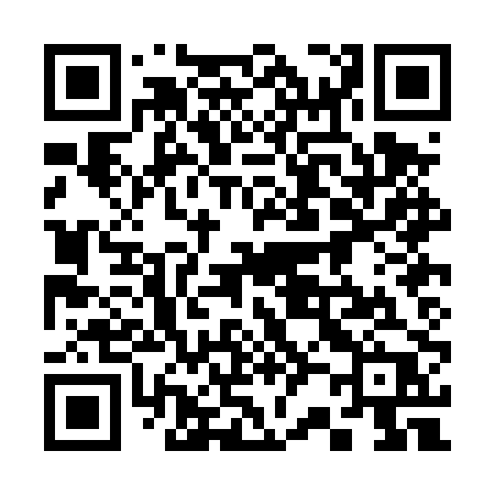 QR code for 320DPP
