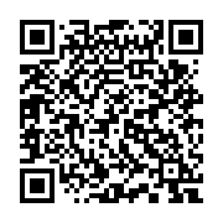 QR code for 333FQI