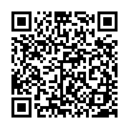 QR code for 333INI