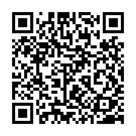 QR code for 333LYY