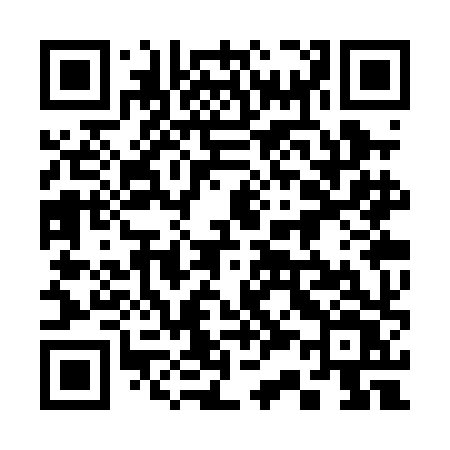 QR code for 333PHV