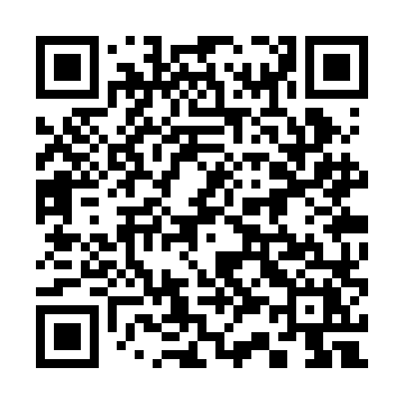 QR code for 333RLX