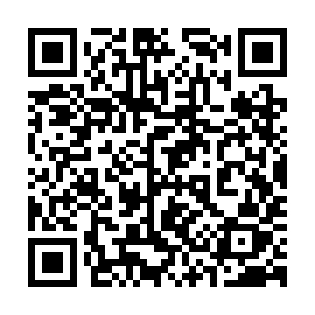 QR code for 333SIZ