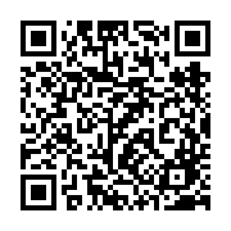QR code for 333VDD