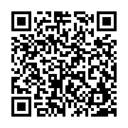 QR code for 334MSF