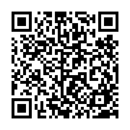 QR code for 335DIG