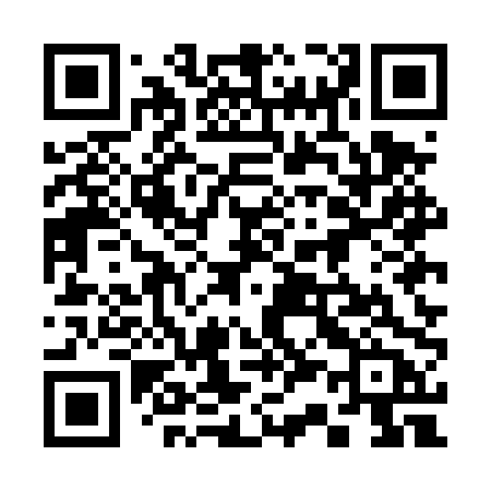 QR code for 335DPB