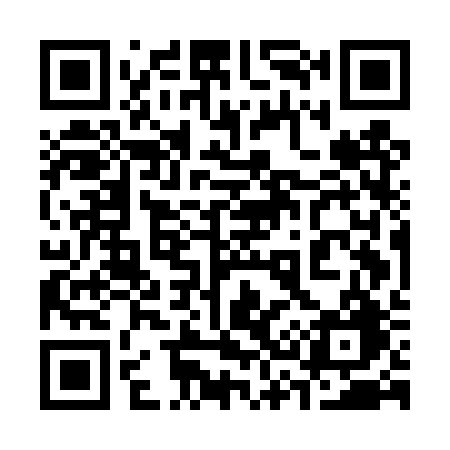 QR code for 335DRG