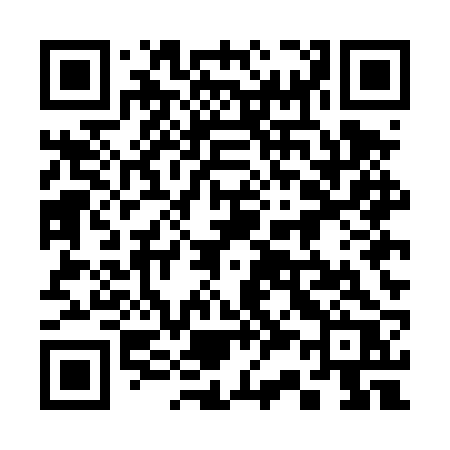 QR code for 335DRR