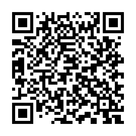QR code for 335EXI
