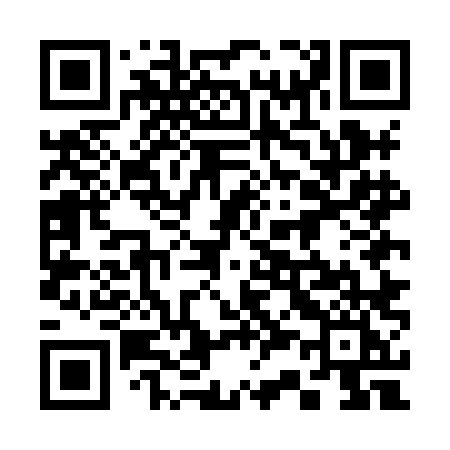 QR code for 335HLI